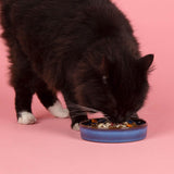 Scruffs Reactive Glaze 13cm Stoneware Pet Saucer - Midnight Blue