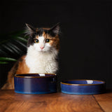 Scruffs Reactive Glaze 13cm Stoneware Pet Saucer - Midnight Blue