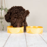 Scruffs Aztec 15cm Stoneware Pet Bowl - Sunflower Yellow