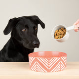 Scruffs Aztec 19cm Stoneware Pet Bowl - Terracotta Orange