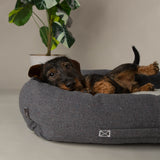 Scruffs Eden 60cm x 50cm 100% Recycled Box Bed - Charcoal Grey