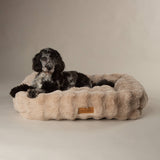 Scruffs Alpine 75cm x 60cm Box Bed - Champagne