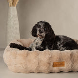 Scruffs Alpine 75cm x 60cm Box Bed - Champagne