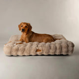 Scruffs Alpine 80cm x 60cm Mattress - Champagne