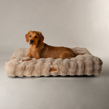 Scruffs Alpine 100cm x 70cm Mattress - Champagne