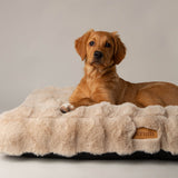 Scruffs Alpine 100cm x 70cm Mattress - Champagne