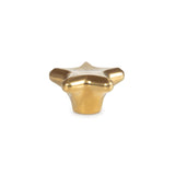 Le Creuset Evo Gold Star Knob