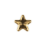 Le Creuset Evo Gold Star Knob