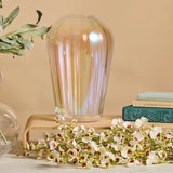 Anton Studio Designs Iridescent Aura Vase