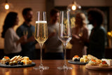 Anton Studio Designs 2-Piece 300ml Champagne Flutes - Palazzo