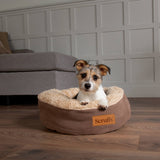 Scruffs Cosy 45cm Ring Pet Bed - Assorted
