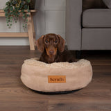 Scruffs Cosy 45cm Ring Pet Bed - Assorted