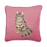 Wrendale Designs by Hannah Dale Embroidered Cushion - Feline Fabulous - Cat