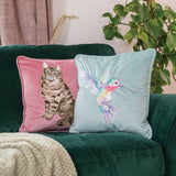 Wrendale Designs by Hannah Dale Embroidered Cushion - Feline Fabulous - Cat