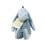 Classic Pooh Hundred Acre Wood Soft Toy - Eeyore