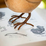 DCUK Bamboo Natural Dodo