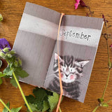 Alex Clark 2027 Pocket Diary - Charismatic Cats
