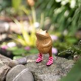 DCUK Spotty Boots Jolly Frog - Assorted