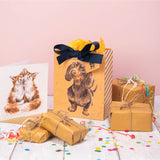 Wrendale Designs by Hannah Dale Small Gift Bag - Little Sausage