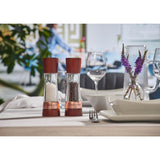 Cole & Mason Gourmet Precision+ 19cm Derwent Salt & Pepper Mill Set - Chestnut