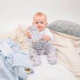 Wrendale Designs by Hannah Dale Little Wren Milestone Cards