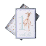 Wrendale Designs by Hannah Dale Little Wren Milestone Cards