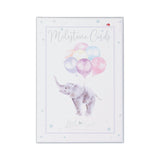 Wrendale Designs by Hannah Dale Little Wren Milestone Cards