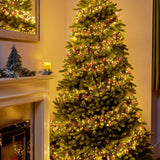 Premier ClusterBrights 25 Metre 2000 LED Multi Action Lights - Red And Warm White