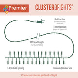 Premier ClusterBrights 6.2 Metre 480 LED Multi Action Lights - Red And Warm White