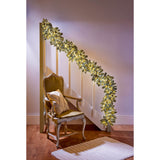 Premier ClusterBrights 25 Metre 2000 LED Multi Action Lights - White And Warm White