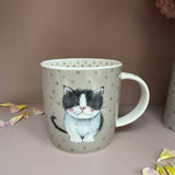 Alex Clark 400ml New Bone China Mug - Kitten