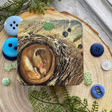 Alex Clark Small Square Tin - Sleeping Dormouse