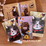 Alex Clark Pack Of 10 Notecard Wallet - Klaus & Willow