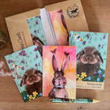 Alex Clark Pack Of 10 Notecard Wallet - Bramble & Hannah