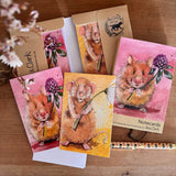 Alex Clark Pack Of 10 Notecard Wallet - Hamster