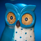 DCUK Spotty Owl - Assorted