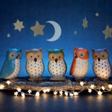 DCUK Spotty Owl - Assorted