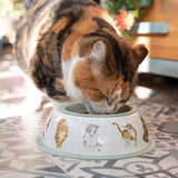 Wrendale Designs by Hannah Dale Stainless 20cm Cat Bowl