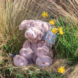 Wrendale Designs by Hannah Dale Plush Toy - Vanessa Pig