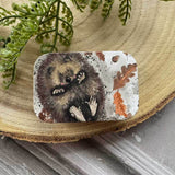 Alex Clark Small Sliding Tin - Hedgehog