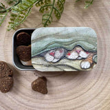 Alex Clark Small Sliding Tin - Cats Whiskers