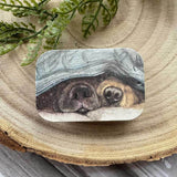 Alex Clark Small Sliding Tin - Snouts