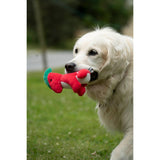 Petface Buddies Baby Dino Plush Dog Toy - Assorted