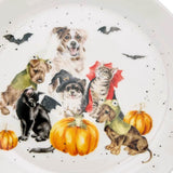 Wrendale Designs by Hannah Dale 21cm Fine China Coupe Plate - Halloween Party