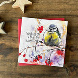 Alex Clark Pack Of 8 Christmas Cards - Merry Christmas - Blue Tit