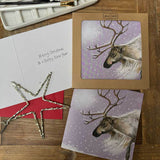 Alex Clark Pack Of 8 Christmas Cards - Reindeer