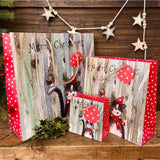 Alex Clark Christmas Medium Gift Bag - Cat