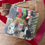 Alex Clark Christmas Medium Square Tin - Christmas Cats