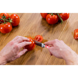 Wusthof Classic 12cm Steak Knife - Coral Peach