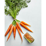 Joseph Joseph PeelStore With Waste Bowl - Green - Potters Cookshop